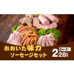 ふるさと納税 大分県産 おおいた味力 ソーセージセット 計2.28kg 大分県竹田市