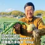 fu.... налог Awaji Island шар лук порей (10 kilo ) шар лук порей прямая поставка от производителя Hyogo префектура .. город 