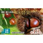 栗 球磨栗 賀久農園 草生栽培