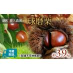 栗 球磨栗 賀久農園 草生栽培