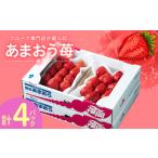 ふるさと納税 【2026年発送先行受付】フルーツ専門店が選んだ「あまおう苺」春250g×4パック(大野城市)_いちご 苺 イチゴ あまおう フルー.. 福岡県大野城市