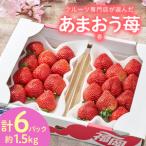 ふるさと納税 【2026年発送先行受付】フルーツ専門店が選んだ「あまおう苺」春250g×6パック(大野城市)_約1500g 1.5kg いちご イチゴ 苺 .. 福岡県大野城市