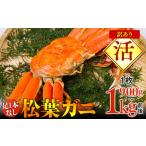 fu.... налог [.] пара 1 шт. нет есть перевод сосна лист gani очень большой 1 листов (900g~1kg передний и задний (до и после) )| краб сосна лист gani с биркой [ надеты день указание не возможно ]*2025 год 11 месяц сверху .~2026.. Tottori префектура север . блок 