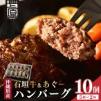 石垣牛&あぐーハンバーグセット AG011-1