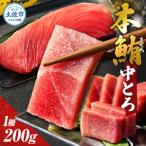 本マグロ 中トロ 200g