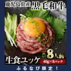 黒毛和牛 ユッケ 8人前