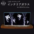LEDライティング インテリアガラス エンゼルフィッシュ