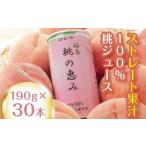 ふるさと納税 桃果汁100%ジュース「桃の恵み」 190g×30本 F20C-137 福島県伊達市