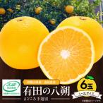 有田の八朔 はっさく 6玉