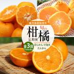 全3回定期便 みかん尽くし ぽんかん 不知火