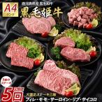 ステーキ 全5回 定期便 黒毛姫牛 IBZ029-001