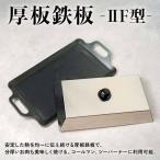 厚板鉄板IIF型 F4N-2347