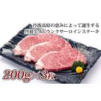 A5ランク サーロインステーキ 200g×3枚