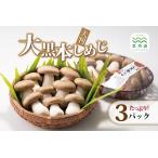 fu.... налог [ большой чёрный книга@ симедзи ] большой размер 3 упаковка комплект [012MK001] Kyoto (столичный округ) столица Tanba блок 