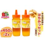 ふるさと納税 宇佐美養蜂のはちみつセット (百花) 450g×2本「KANRAブランド認定商品」｜国産 純粋はちみつ 蜂蜜 ハチミツ 無添加 とんがり.. 群馬県甘楽町