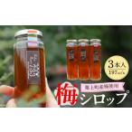 シロップ 昔ながらの梅シロップ 3本