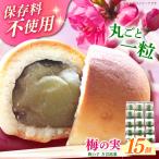 和菓子 築上銘菓 梅の実 15個