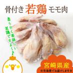 若鶏 骨付き 鳥モモ 10本セット 1本あたり300g前後