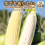 とうもろこし 食べ比べ 計10本