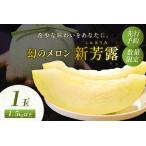 ふるさと納税 【先行予約／数量限定200】幻のメロン 新芳露 1玉（2026年7月中旬〜発送） 京都府京丹後市