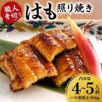 のぞみ 照焼 はも 500g