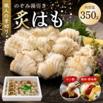 のぞみ 湯引 はも 350g