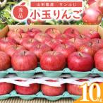 令和8年産 小玉りんご サンふじ 10kg