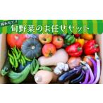 旬野菜のお任せ定期便1年間 隔月出荷 2月4月6月8月10月12月