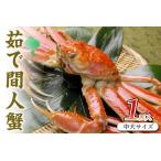 ふるさと納税 タグ付き 茹で間人蟹 【厳選】 中大サイズ | ズワイガニ カニ 京都府京丹後市