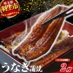 うなぎ 蒲焼 2枚