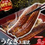 うなぎ 上 蒲焼 2枚 セット