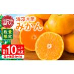 ふるさと納税 訳あり 数量限定 海藻木酢みかん 計10kg以上 傷み補償分付き フルーツ 果物 くだもの 柑橘 みかん 国産 期間限定 食品 家庭用 自宅.. 宮崎県日南市