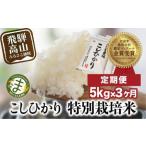 全3回 飛騨こしひかり 5kg