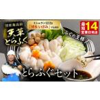 ふるさと納税 【ミシュラン星付きのプロが愛用】ふぐの王様！とらふぐ 国内最高級！天草とらふぐセット ふぐ鍋 フグ 河豚  熊本県上天草市