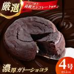 ガトーショコラ 4号 チョコレートケーキ