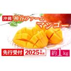 ショッピング1kg ふるさと納税 【先行受付】【2024年発送】神谷ファームのマンゴー約1Kg 沖縄県八重瀬町