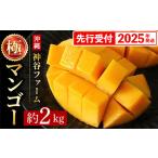 ふるさと納税 【化粧箱入】【先行受付・2025年発送】神谷ファームのマンゴー(極)約2Kg 沖縄県八重瀬町