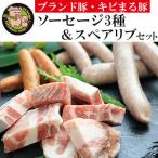ソーセージ3種&スペアリブセット 豚肉