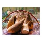 fu.... налог JA-05 побеги бамбука (.) три слоя префектура много . блок 