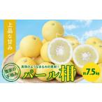 ふるさと納税 S040-022A_農家の手摘み パール柑 約7.5kg〈先行予約〉 先行予約 柑橘 約 7.5kg 天草産 果物 フルーツ 真珠 手摘み 固め 食感 食べ.. 熊本県天草市