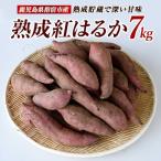 2026年11月上旬~発送 指宿産 紅はるか 約7kg