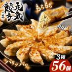 げんき餃子56個セット 冷凍生餃子 ギョーザ専門店