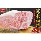 牛肉 黒毛和牛 サーロイン ブロック 約2.2kg×1パック