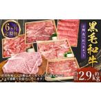 牛肉 黒毛和牛 6種