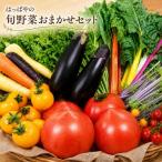 野菜 旬 おまかせ 農薬減 有機肥料