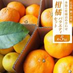 柑橘バラエティセット 5kg