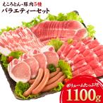 �ӂ邳�Ɣ[�� ������Ƃ�E�ؓ�5��(�v1100g) �o���G�e�B�Z�b�g�s60���ȓ��ɏo�ח\��(�y���j����)�t�F�{���Y �L����Ѓt�@�[�����V�_ �F�{����Ò�