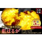 あまべに姫 紅はるか 約5kg