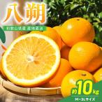 八朔 10kg