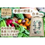 有機農家の季節の野菜と白米10kgのセット